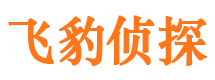 宣化侦探公司